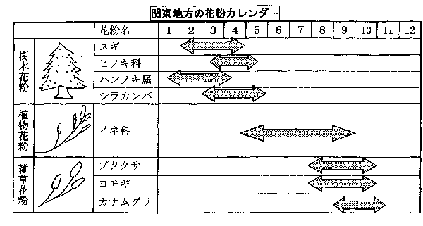 わかばだより No 39 花粉症について